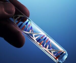 Genetic research could improve quality of aging treatments