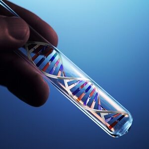 Genetic research could improve quality of aging treatments